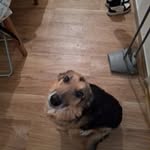Barbara Kehrer - @kehrerbarbara - Instagram