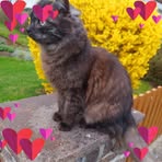 Barbara Kehrer - Facebook