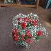 Barbara Sousley Keim - Facebook