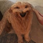 Barbara Keiser - @barbarakeiserthecoolest - Instagram