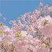 Barbara Kellermann - Facebook