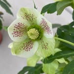 Barbara Kellner - @bkellner45 - Instagram