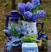 Barbara Kellogg - Facebook
