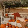 Barbara Kellogg - @barbara.kellogg2 - TikTok