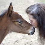 Barbara Kellogg - @bekinstant - Instagram