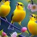 Barbara Kellogg - Facebook