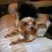 Barbara Kellum - Facebook