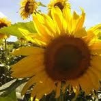 Barbara Kelm - Facebook