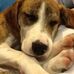 Barbara Kemnitz - Facebook