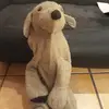 Barbara Nattkemper - @barbaranattkemper - TikTok