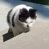 Barbara Kempf490 - @bk010444 - TikTok