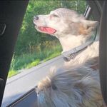 Barbara Kempf - @barbara.kempf.79 - Instagram