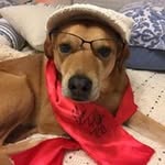 Barbara Kennington - @kenningtonbarbara - Instagram