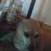 Barbara Kennison - Facebook