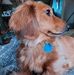 Barbara Kenowski - Facebook