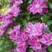 Barbara Kenton - Facebook