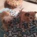 Barbara Keener - Facebook