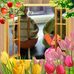 Barbara Kerrigan - Facebook