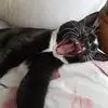 Kerry Barbara - @kerry.barbara - TikTok