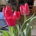 Barb Kettering Neiner - Facebook