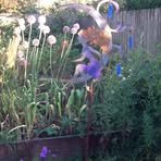 Barbara Ginger Keyworth - Facebook