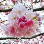 Barbara Kidd - @bkd.5872682 - Instagram