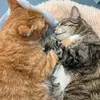 Barbara Kindt - @barbara.kindt - TikTok