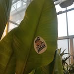 Grand Valley State University - @barbarakindschigreenhousegvsu - Instagram