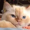 barbarakinder6 - @barbarakinder6 - TikTok