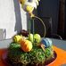 Barbara Kipp - Facebook