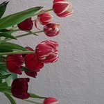Barbara Kipping - @barbara.kipping.2712 - Instagram