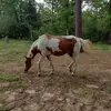 Barbara - @barbarakirby408 - TikTok