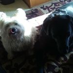 Barbara Kirby - @shadoeandroxysmom - Instagram