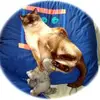 Barbara Kirchner563 - @barbarakirchner56 - TikTok