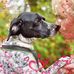 Barbara Kirchner - Facebook