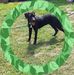 Barbara Kirchner - Facebook