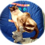 Barbara Kirchner - @barbara.kirchner.3701 - Instagram
