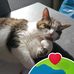 Barbara Kitz - Facebook