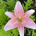 John Barbara Klassen - Facebook
