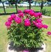Barbara Kleckner - Facebook