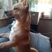 Barbara Kluzik - Facebook