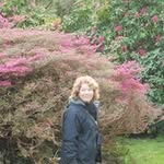 Barbara Kleinman - @kleinmanbarbara - Instagram