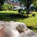 Barbara Klemm - Facebook