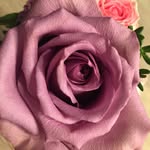 Barbara Klemm - @barbara_klemm_hofgeismar - Instagram
