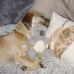 Barbara Klemp - Facebook