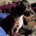 Barbara Klaer - Facebook