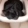 barbara klima - @barbara.klima - TikTok