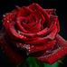 Barbara Klimek - Facebook