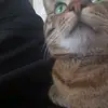 Barbara Klimek - @barbaraklimek - TikTok