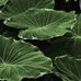Barbara Klimek - Facebook